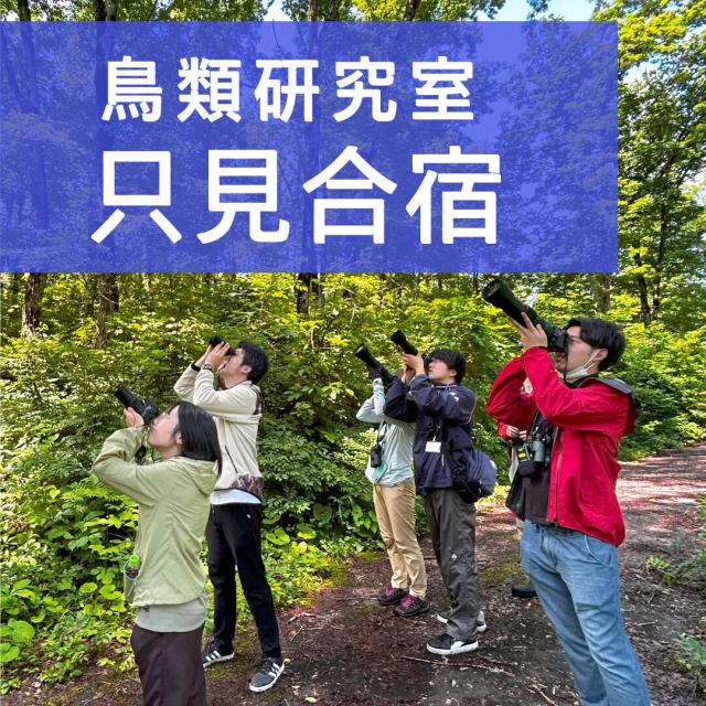 日本自然環境専門学校 【すぐ見れる動画】動物や植物について学ぶ！研究室紹介3