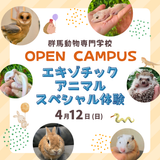 スペシャル体験！エキゾチックアニマルとふれあおうの詳細