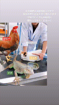 OCカメラサムネイル画像