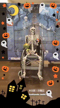 OCカメラサムネイル画像