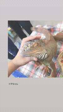 OCカメラサムネイル画像