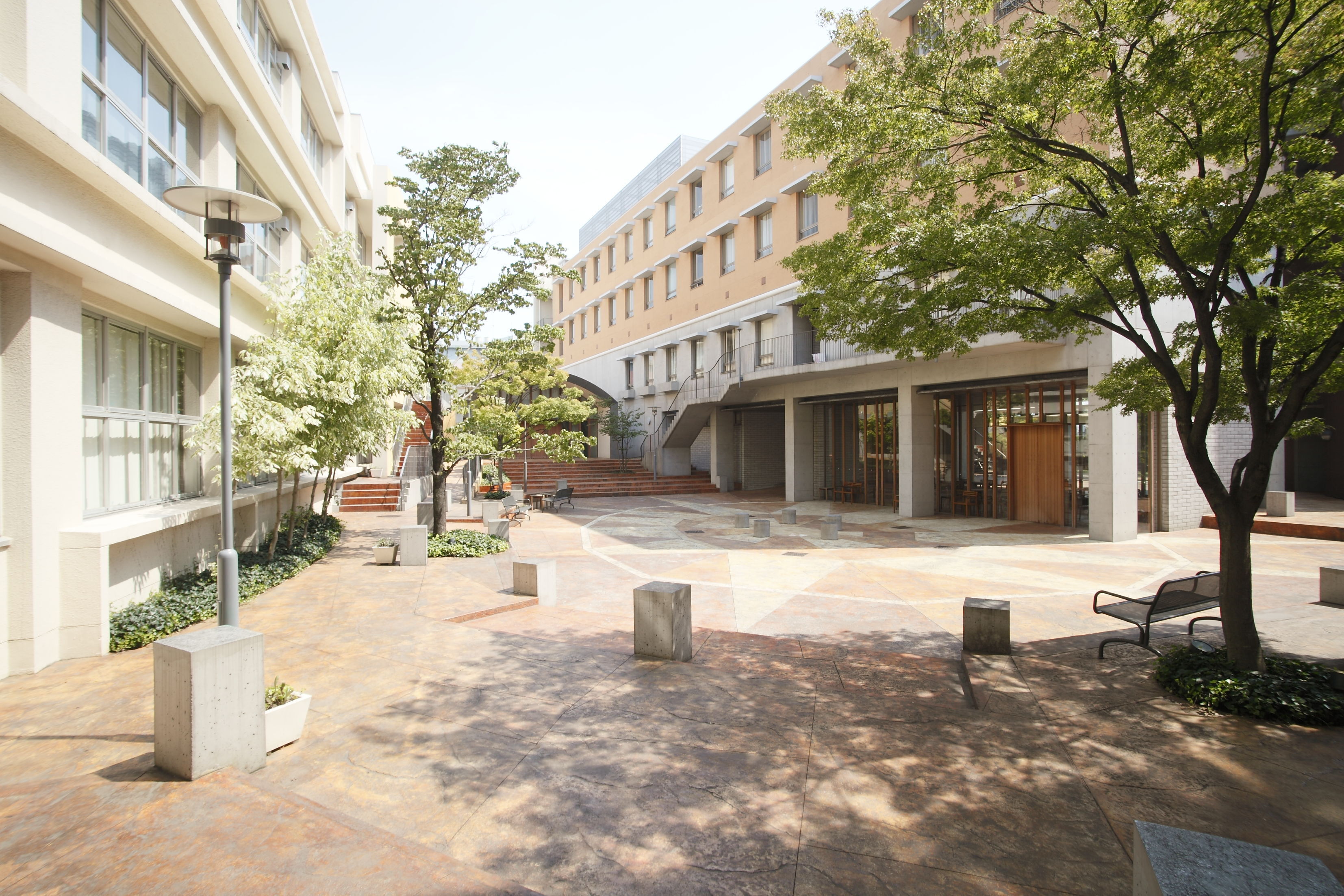 東京未来大学通信過程　テキスト7冊 東京未来大学通信過程 テキスト7冊 学習方法・学習の流れTOP | 東京