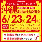 沖縄お出かけ説明会開催!の詳細