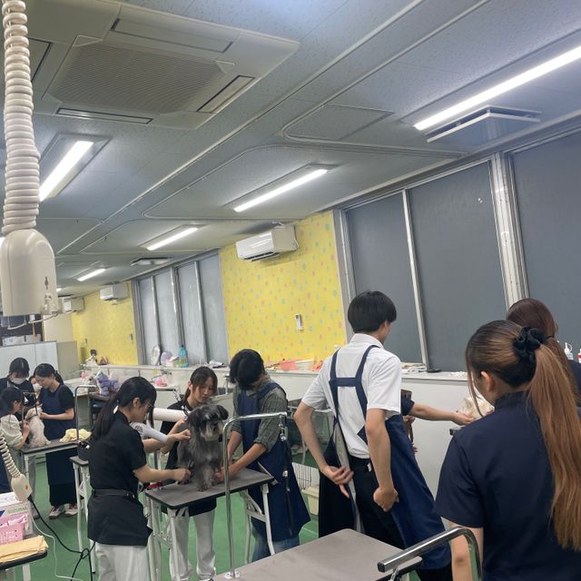 秋田情報ビジネス専門学校 【ペットビジネス科】トリミング体験をしてみよう1