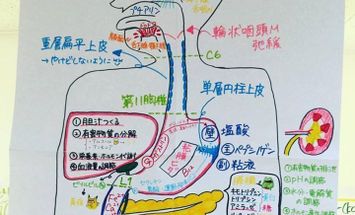 八千代リハビリテーション学院のブログインフォ一覧 26 スタディサプリ 進路