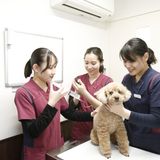 【7/25限定】アイリス動物医療センターLIVE配信！の詳細