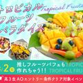 大阪農業園芸・食テクノロジー専門学校 トロピカルフルーツパラダイス【製菓・パン・バリスタ・調理】