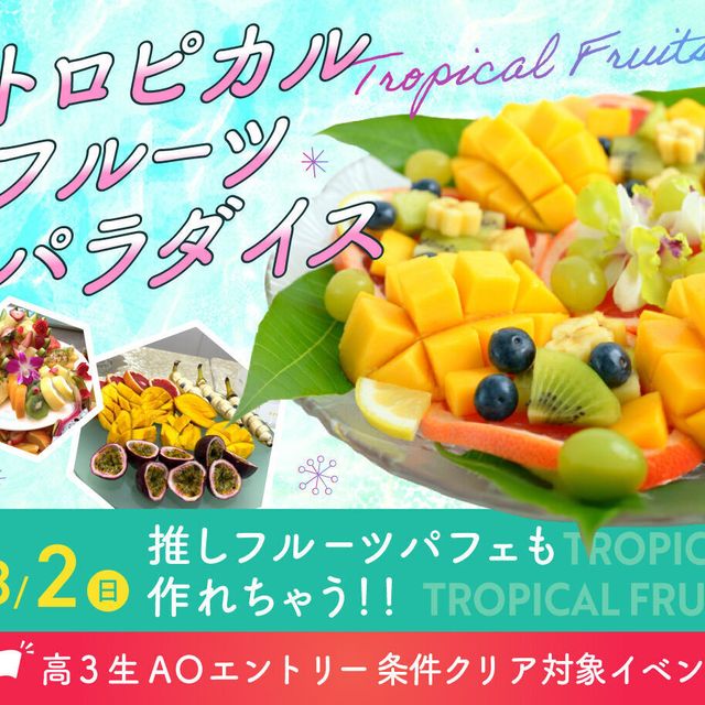 大阪農業園芸・食テクノロジー専門学校 トロピカルフルーツパラダイス【製菓・パン・バリスタ・調理】1