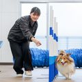 名古屋ＥＣＯ動物海洋専門学校 【ドッグトレーナー】ワンちゃんのトレーニングを体験しよう！