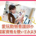 ＴＣＡ東京ＥＣＯ動物海洋専門学校 愛玩動物看護師の国家資格を覗いてみよう