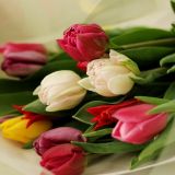 春色ウェディングブーケの詳細