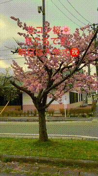 OCカメラサムネイル画像