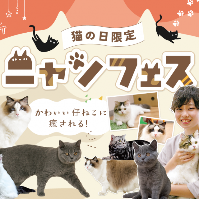 福岡ＥＣＯ動物海洋専門学校 ニャンフェス1