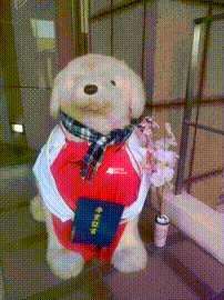 OCカメラサムネイル画像