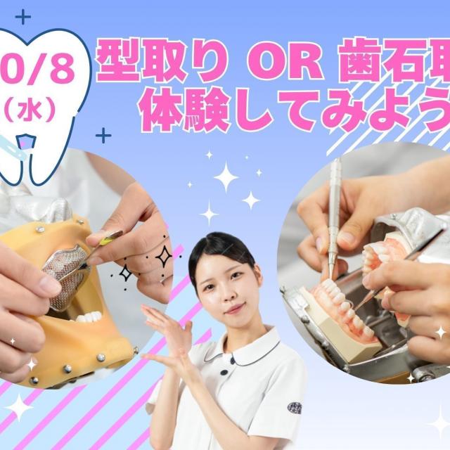 東京医学技術専門学校 【歯科衛生士/1時間】夜間で柔軟な学び方ができる！1