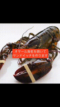 OCカメラサムネイル画像