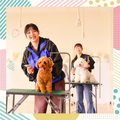 国際アート＆デザイン大学校 【ペット総合科】ペット業界の仕事を体験しよう♪