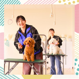 【ペット総合科】ペット業界の仕事を体験しよう♪の詳細