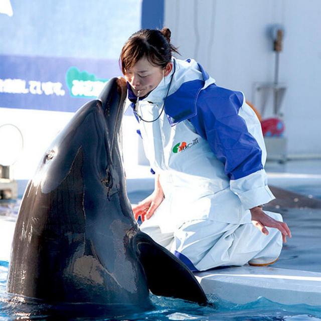 大阪ECO動物海洋専門学校 目指せドルフィントレーナー!1