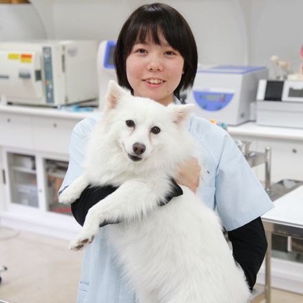 在校生レポート画像