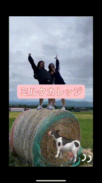 OCカメラサムネイル画像