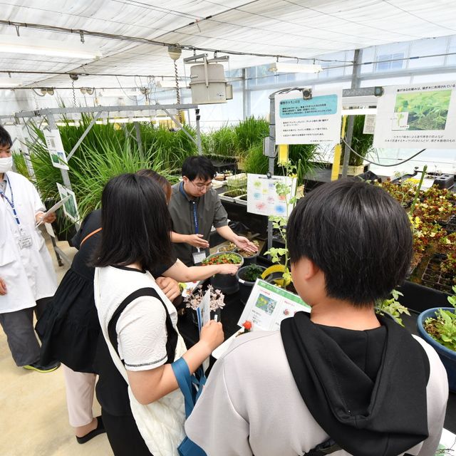 帝京大学 【理工系志望者向け】充実した実習施設・研究室を体験できる！2