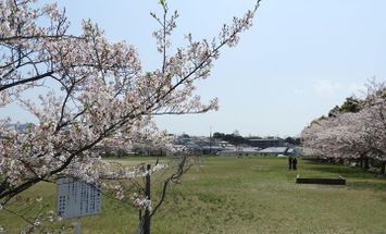 福岡女子短期大学のブログインフォ一覧 2 スタディサプリ 進路