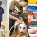専門学校　福岡ビジョナリーアーツ 【ペット・看護】3専攻よくばり体験【ワンコ】