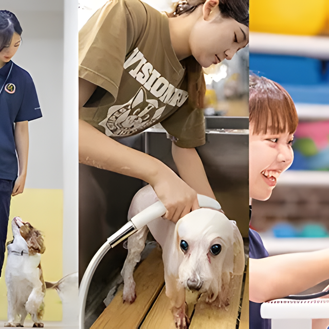 専門学校　福岡ビジョナリーアーツ 【ペット・看護】3専攻よくばり体験【ワンコ】1