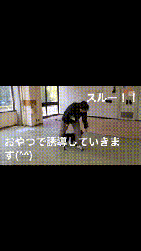 OCカメラサムネイル画像