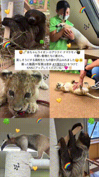 OCカメラサムネイル画像