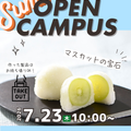 国際製菓専門学校 【和菓子】マスカットの宝石