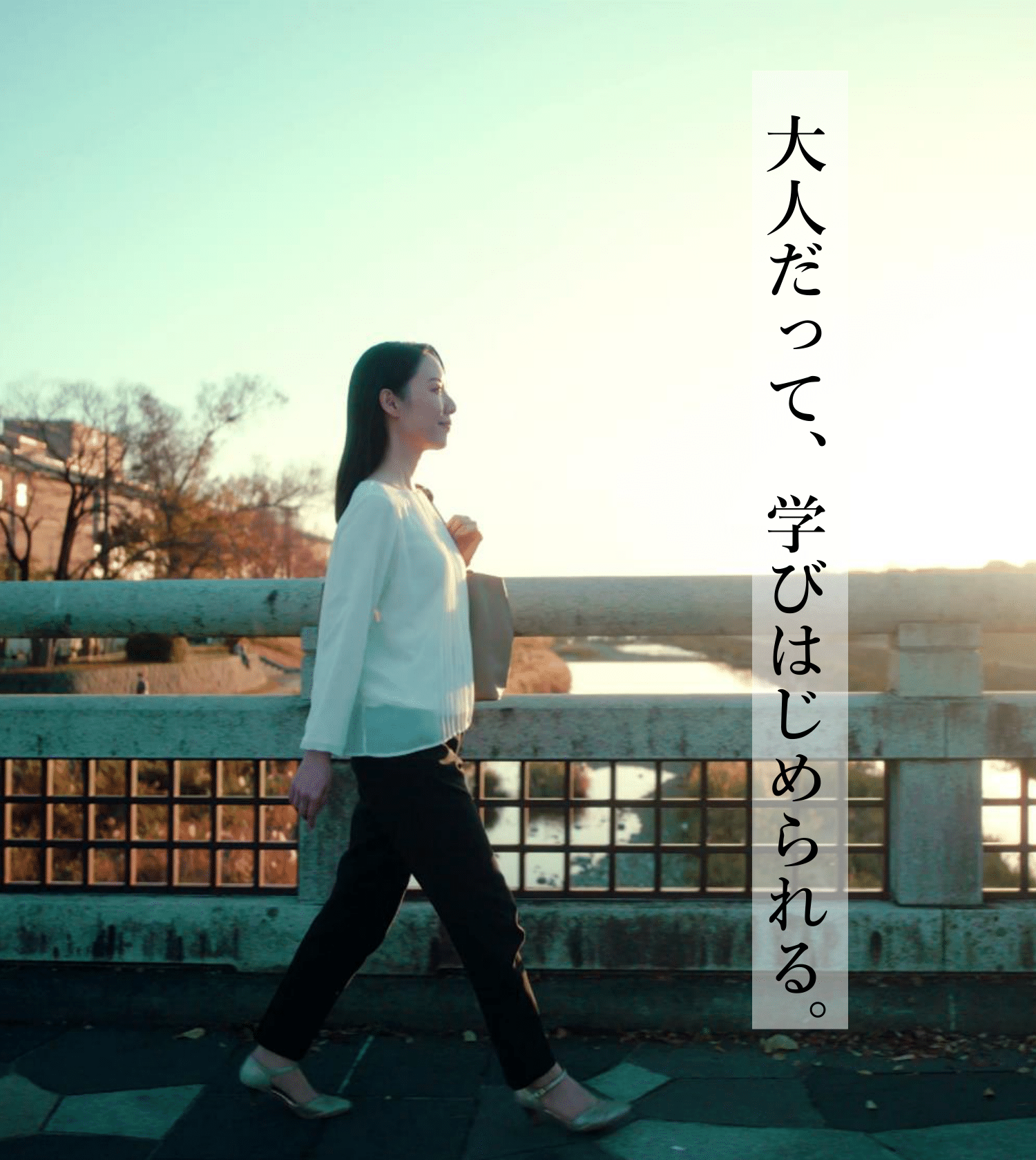 佛教大学（通信教育課程） | 資料請求・願書請求・学校案内【スタディ