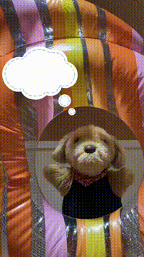 OCカメラサムネイル画像