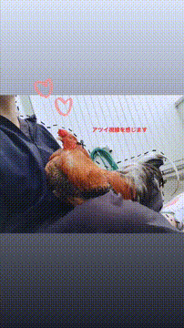 OCカメラサムネイル画像