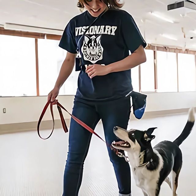 専門学校　福岡ビジョナリーアーツ 【ペット】警察犬訓練士さん体験1