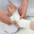 神奈川柔整鍼灸専門学校 体験型オープンキャンパス【柔道整復学科】