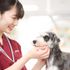 高崎動物専門学校 【動物看護】健康は歯から！動物の歯のお手入れを体験しよう1