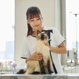 【動物看護師お仕事体験！】エコの動物たちと触れ合える♪の詳細