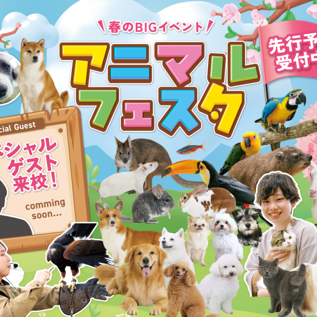 福岡ＥＣＯ動物海洋専門学校 アニマルフェスタ1