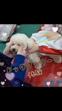 OCカメラサムネイル画像