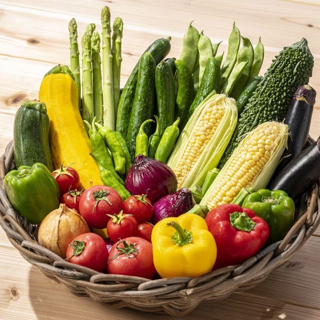 東京環境工科専門学校 『お弁当で豊かな生物多様性！？』体験授業を同時開催！2