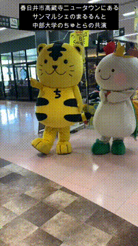 OCカメラサムネイル画像