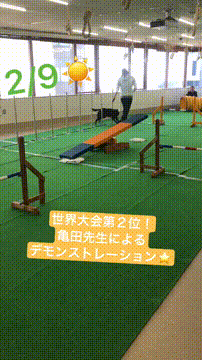 OCカメラサムネイル画像