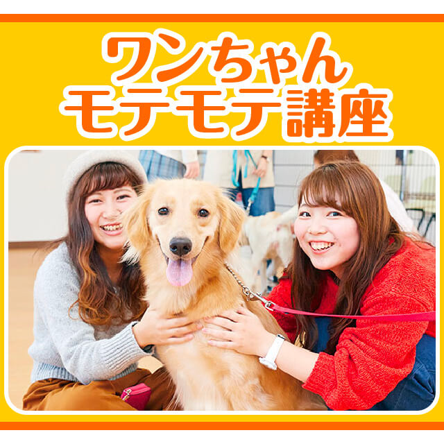 大阪ビジネスカレッジ専門学校 ワンちゃんモテモテ講座1