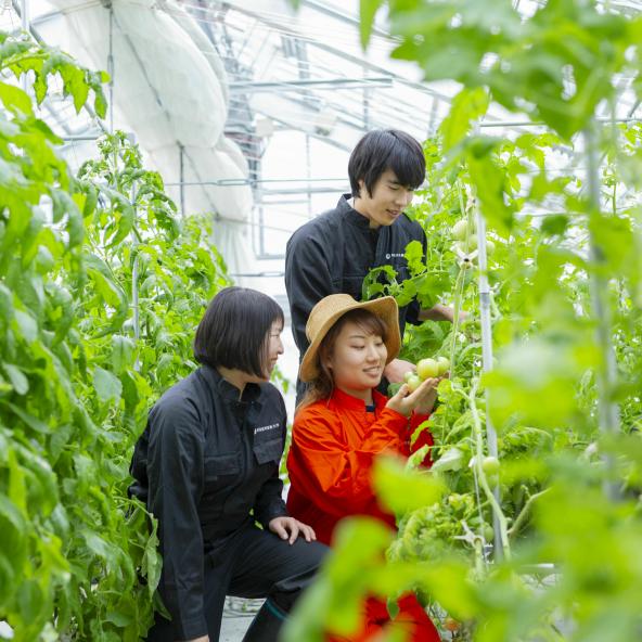 新潟食料農業大学 資料請求 願書請求 学校案内 スタディサプリ 進路