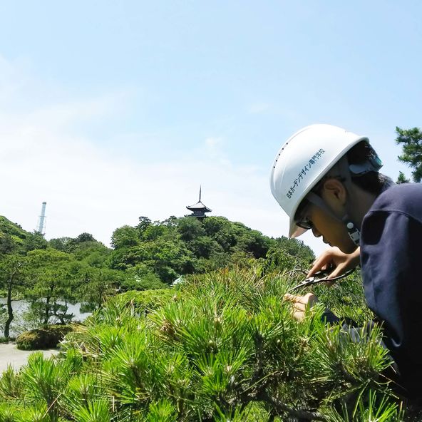 日本ガーデンデザイン専門学校 資料請求 願書請求 学校案内 スタディサプリ 進路 日本ガーデンデザイン専門学校 資料請求 願書請求 学校案内 スタディサプリ 進路
