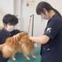 国際ペット専門学校　金沢 1日で食・動物・美容の3分野がすべて体験！ドリームフェス！2