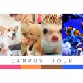 1日ですべての学科・コースを体験できる♪キャンパスツアー／中央動物総合専門学校