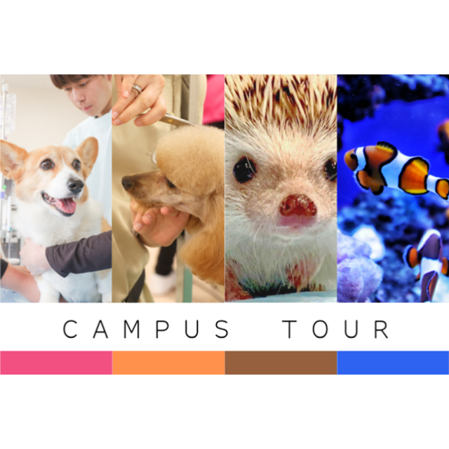 中央動物総合専門学校 1日ですべての学科・コースを体験できる♪キャンパスツアー1